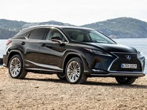 Puzzle della Lexus RX