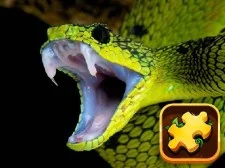 Sfida del puzzle del serpente